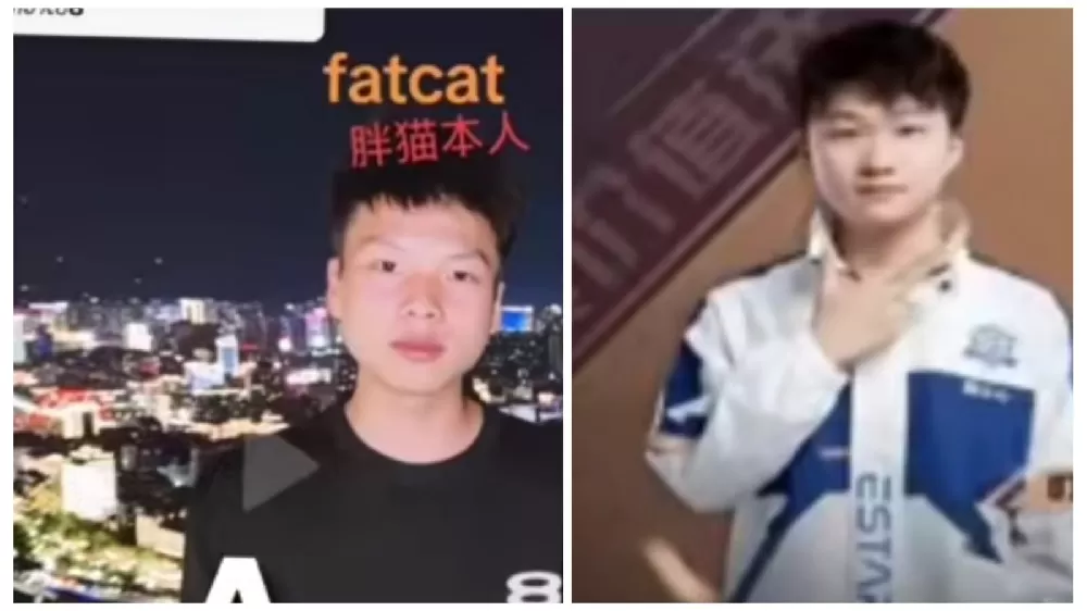 pelajaran dari kisah viral tragis fat cat (foto asli)